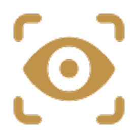 Vision Icon